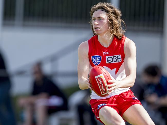 Former Sydney Swans will play for Frankston this year.