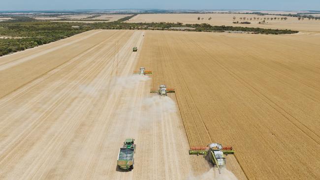 The Project Jaal portfolio comprises farmland from Victoria’s Mallee and southern Western Australia.