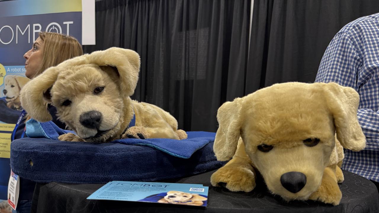 Tombot founder Tom Steven showcases his robotic golden retriever puppy he says will “revolutionise dementia care”.