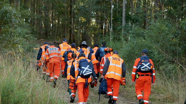 Police search for forensic evidence relating to the disappearance of William Tyrrell in the small town of Kendall on the NSW mid north coast. Volunteers from the SES help with clearing the dense bushland. Picture: Nathan Edwards