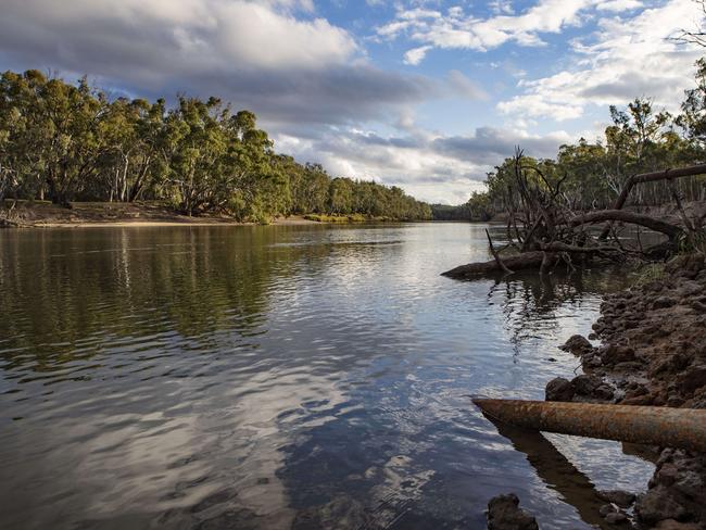 The Murray River flows through Tocumwal in NSW. Picture: Hollie Adams/The Australian