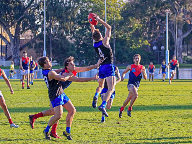 Uni Blues set to appeal VAFA points penalty