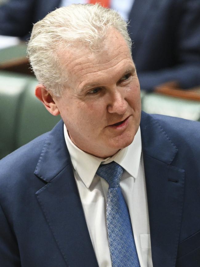 Federal Arts Minister Tony Burke. Picture: NCA NewsWire/Martin Ollman