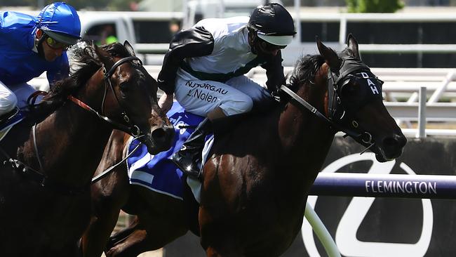 Is Finance Tycoon under the odds? Picture: Getty Images