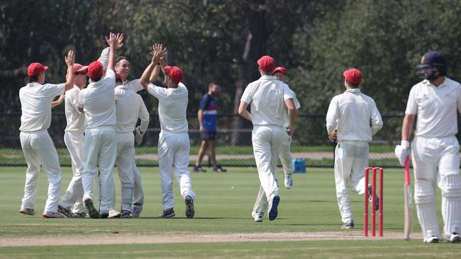 Footscray players celebrate a wicket on Saturday. Picture: Stuart Milligan