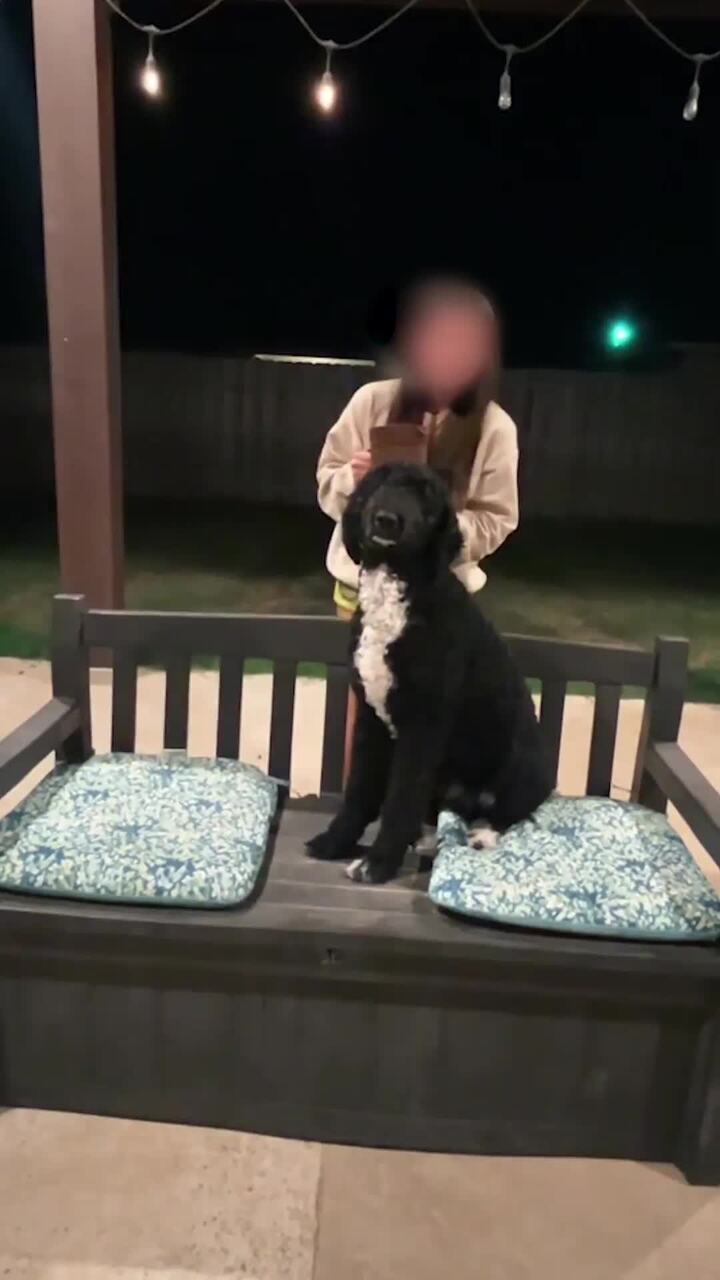 Scary new twist on ice bucket challenge