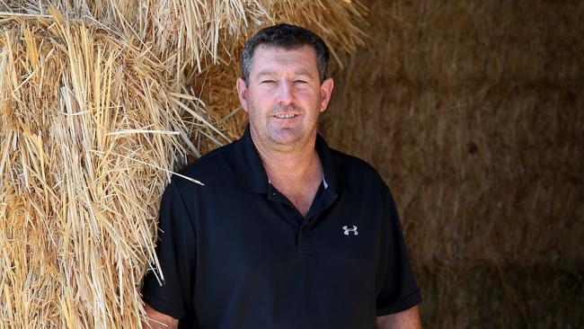 Vice-president of United Dairy Farmers John Keely says dozens of business have had to shut down because they could not afford water for feed. Picture: Andy Rogers