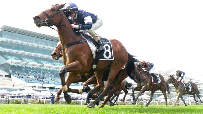 Emerging stayer Point King will shoot for a hat trick of wins when he tackles the Group 3 Bart Cummings at Flemington. Picture: Racing Photos via Getty Images