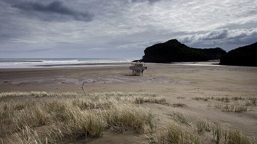 Lifeguard hut at Bethells Beach.