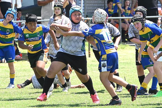 Pacific Youth Rugby Festival in Albany Creek Saturday October 19, 2024. Picture, John Gass