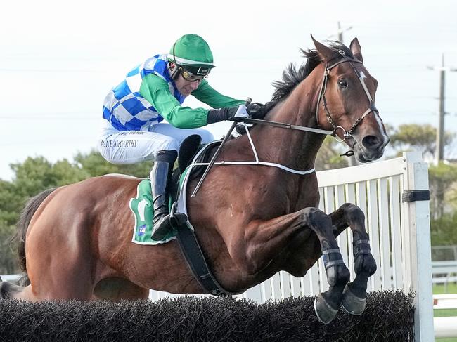 Stern Idol (IRE) ridden by William McCarthy clears a steeple on the way to winning 3YB FM Scotty Stewart Brierly Steeplechase at Warrnambool Racecourse on April 30, 2024 in Warrnambool, Australia. (Photo by George Sal/Racing Photos via Getty Images)