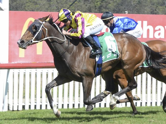 Outcast Girl is shooting for a hat-trick when she contests the Cessnock Cup. Picture: Bradley Photos