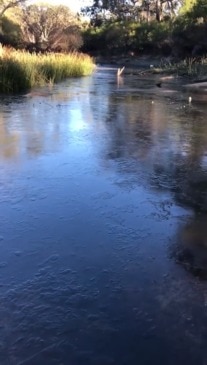 Lake freezes over as temperatures drop to minus 11 in Queensland