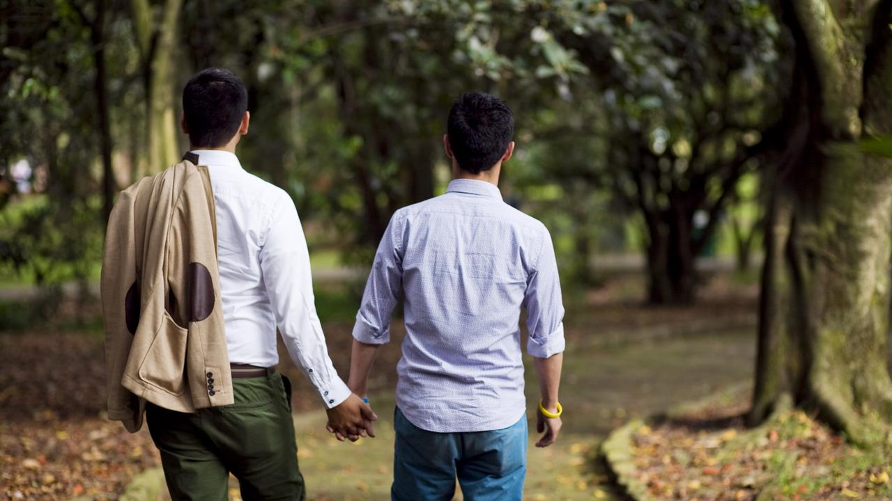 Human rights groups have universally condemned gay conversion therapy as a damaging practice.