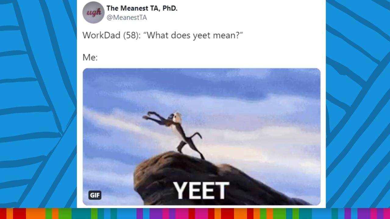 ‘What does yeet mean?’ Picture: Twitter / The Meanest TA, PhD