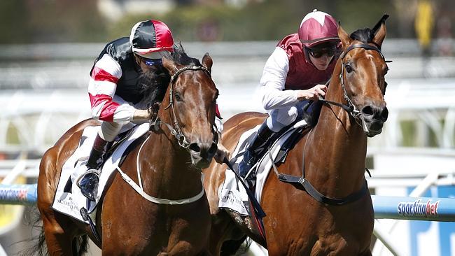 Polanski, ridden by Hugh Bowman, gains the upper hand on San Diego. Picture: Wayne Ludbey