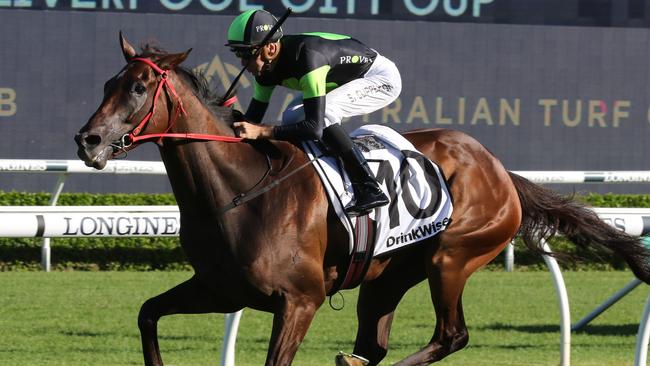 Think About It can resume with a win in the Takeover Target Stakes. Picture: Grant Guy