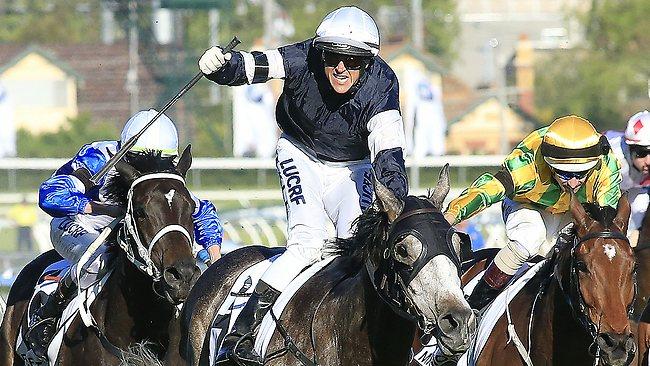 Nick Hall, wearing navy blue silks with white armbands, rides Fawkner to victory in the Caulfield Cup.