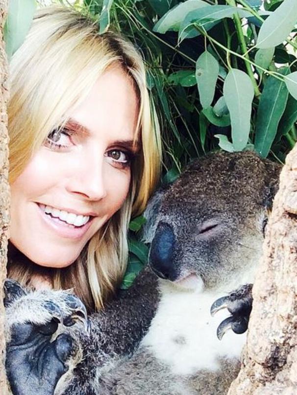 Heidi hugs a koala. Picture: Instagram