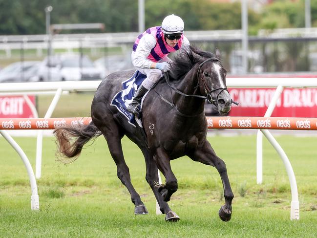 Sghirripa wins the Christmas Stakes at Caulfield. Picture: George Sal-Racing Photos