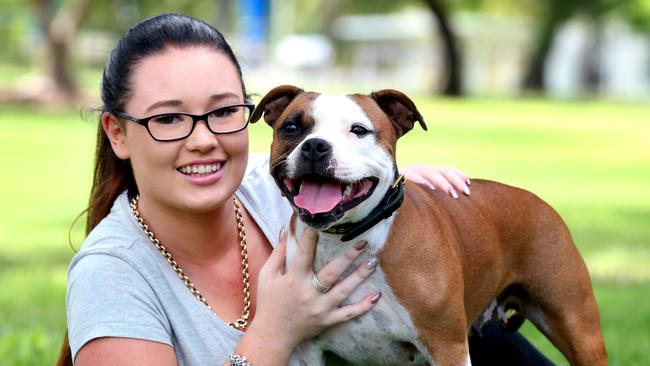 The Staffordshire Bull Terrier is the most popular dog breed in Liverpool. Picture: Richard Walker