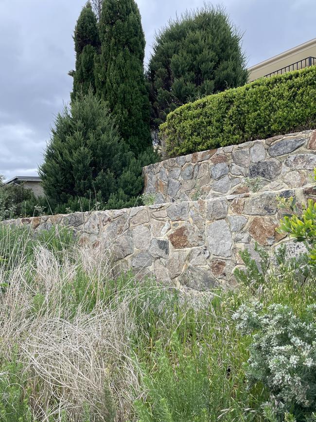 Retaining walls, pencil pines and vegetation raising eyebrows in Mount Martha. Picture: Lucy Callander