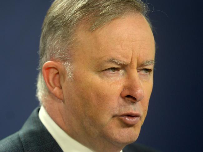 SYDNEY, AUSTRALIA - NewsWire Photos JANUARY 8, 2021.The Leader of the Australian Labor Party, Anthony Albanese hold a press conference in Sydney.Picture: NCA NewsWire / Jeremy Piper