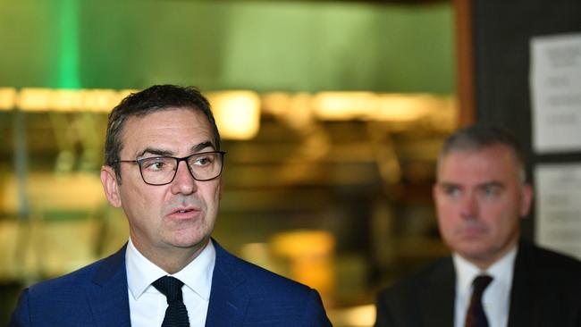 South Australian Premier Steven Marshall with the state’s Health Minister Stephen Wade.