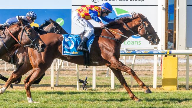 Rah Rah Rasputin won last start at Wangaratta with Brad Rawiller aboard. Picture: Jay Town/Racing Photos via Getty Images