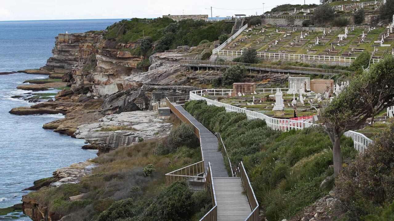 Bondi to Coogee coastal walkway reopens