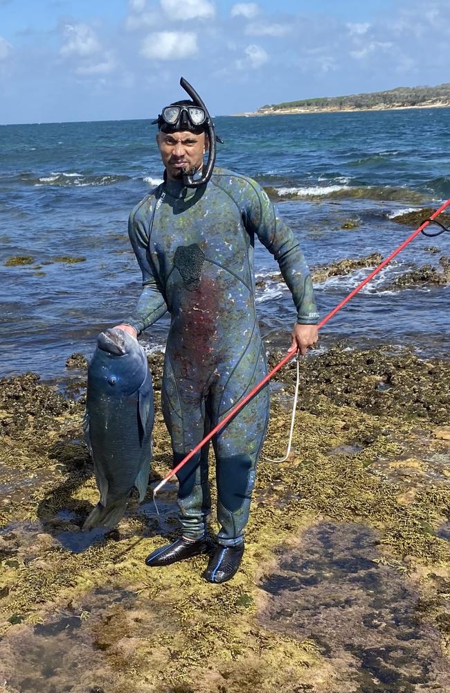 A man used a spear to kill a blue grouper at Oak Park Beach on December 30. Picture: Supplied