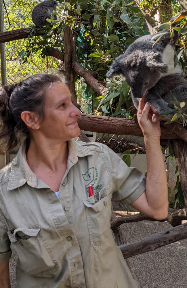 April Lacono, volunteer with friends of the Koala.