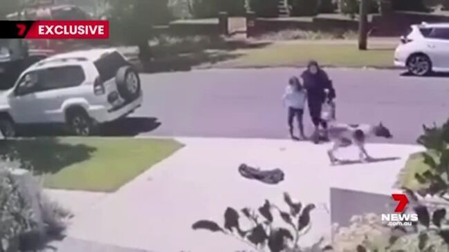 Schoolgirl lunged at by aggressive dog (7NEWS)