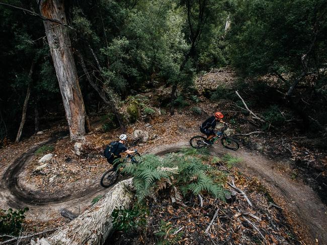 Mountain bikers take on one of the uphill sections of the Blue Derby Pods Ride. Picture: Adam Gibson