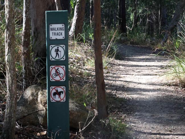 Maculata Track where a woman was recently attacked, Mt Coot-Tha. Picture: Liam Kidston