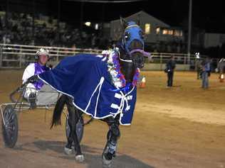 Noel Parrish and Its You Not Me doing a victory lap after winning the Ray Bunch Machinery Cantor Cup at the Warwick Showgrounds on Friday night. Picture: Mavis March