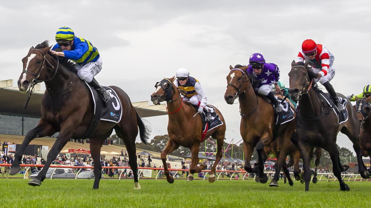 Southern France bounced back from his flop in the Melbourne Cup to score a big win in the Zipping Classic. Picture: AAP