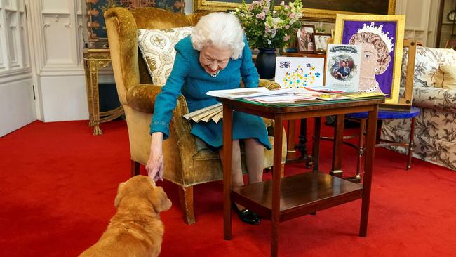 Queen Elizabeth II stroking Candy, her corgi, in 2022. Picture: AFP