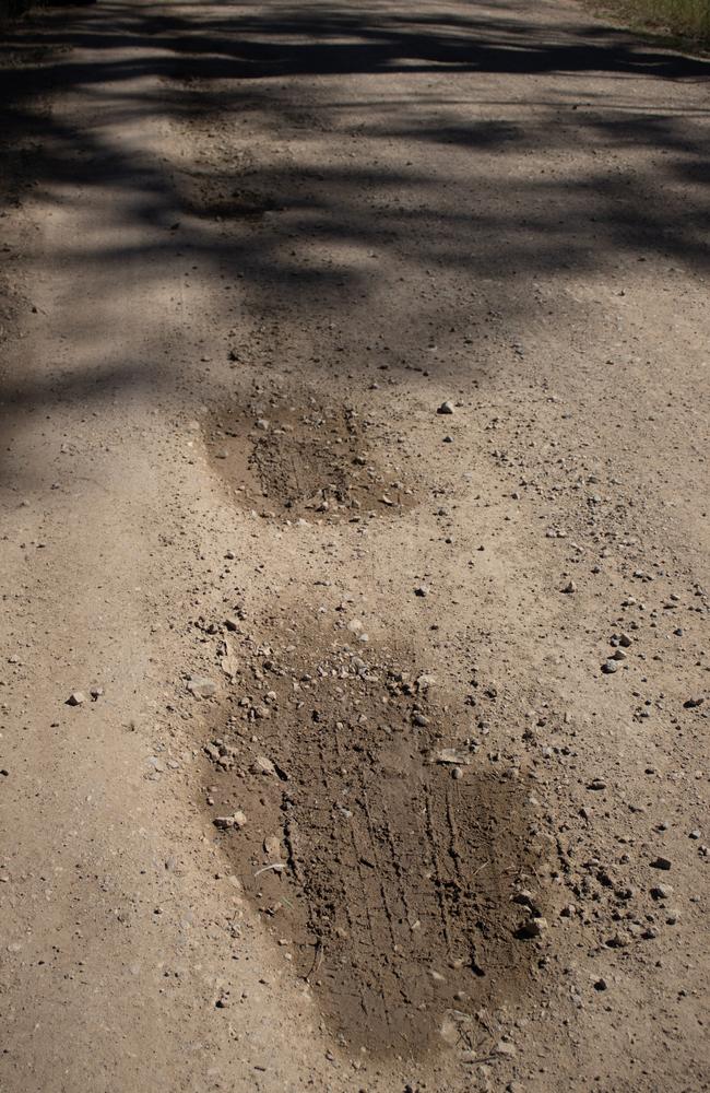 Potholes are hidden during the day by the shade from trees alongside the road.