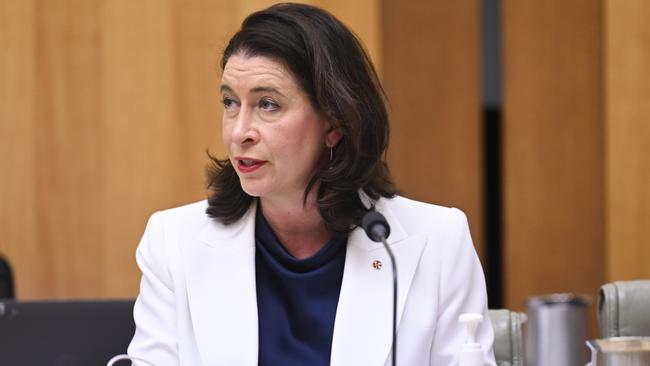 Senator Susan McDonald during an Economics Senate Inquiry at Parliament House in Canberra. Picture: NCA NewsWire / Martin Ollman