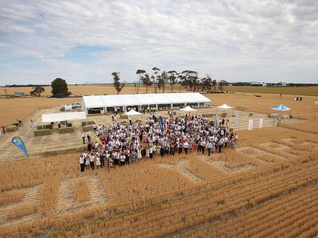 Everybody at the Rupanyup Barley Banquet celebrating their 20 year anniversary. Picture: Yuri Kouzmin