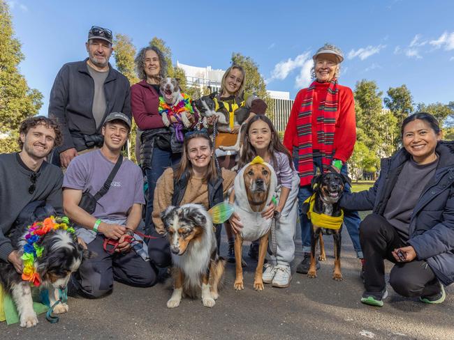 RSPCA SA's Million Paws Walk in Adelaide on May 25, 2025. Picture: Ben Clark