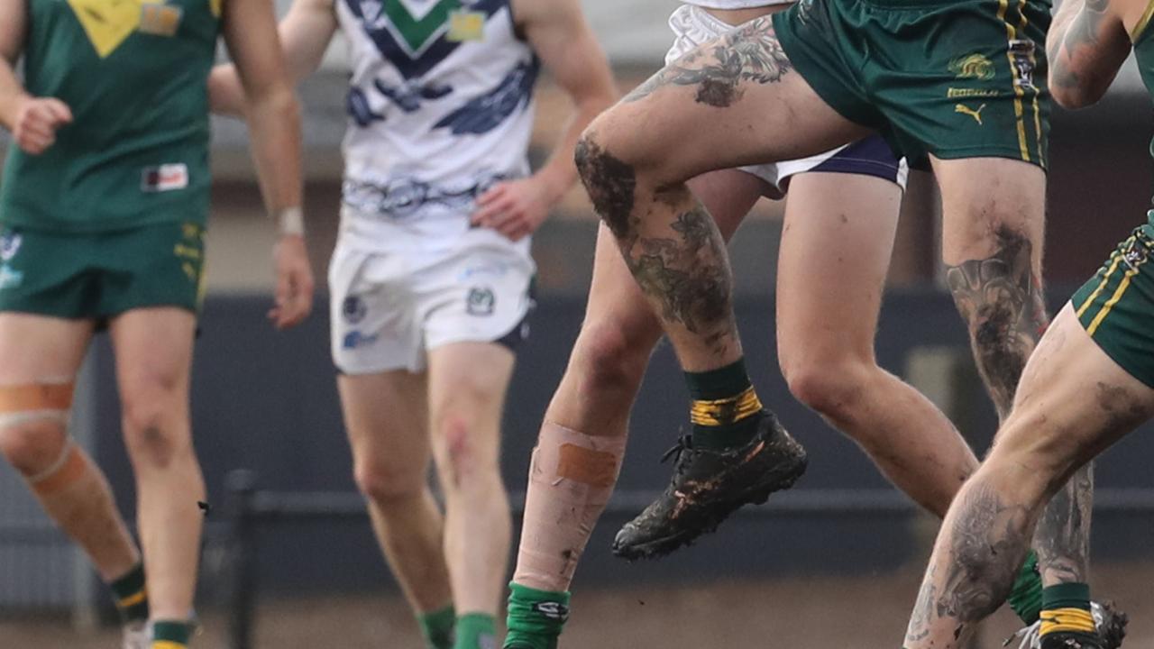 Two premiership Lions on report