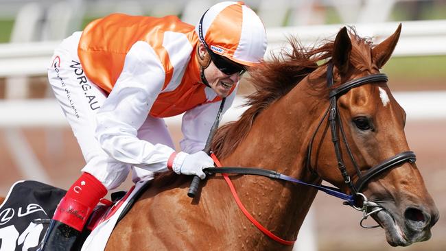 Danny O’Brien is hoping Vow And Declare can rediscover his best form. Picture: AAP