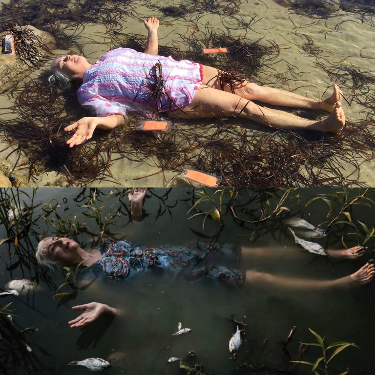 Remaking Bonita Ely and Melissa Williams-Brown, Menindee Fish Kill, 2019, by Melinda Rackham.