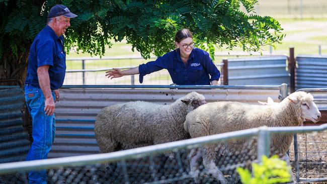 Sophie with Rob Montague on Lambpro’s Holbrook property. Picture: Aaron Francis