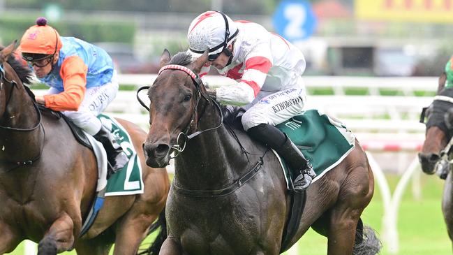 Cifrado charges home to win the Lough Neagh Stakes at Eagle Farm: Picture: Grant Peters/Trackside Photography