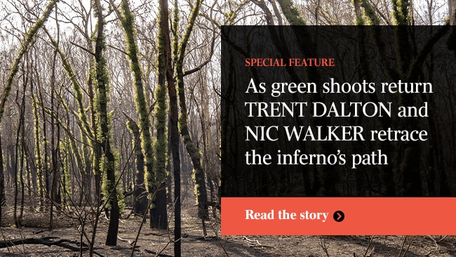 After the fires - Trent Dalton and Nic Walker retrace the inferno's path