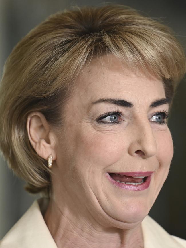 Opposition employment spokeswoman Michaelia Cash. Picture: NewsWire / Martin Ollman