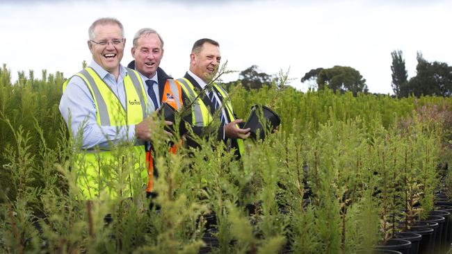 Prime Minister Scott Morrison, senator Richard Colbeck and Braddon candidate Gavin Pearce at the Forico Nursery at Somerset, North-West Tasmania. Picture: CHRIS KIDD